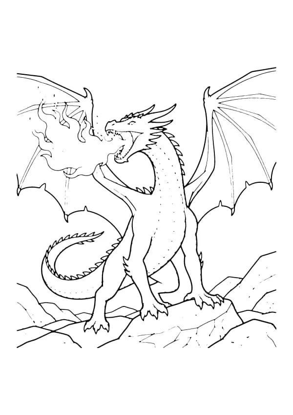 Dragon coloring pages