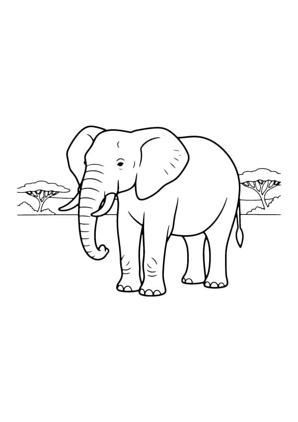 Elephant coloring pages