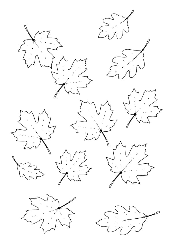 Fall coloring pages