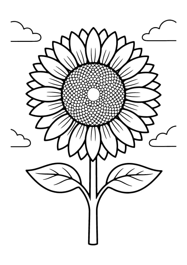 Flower coloring pages