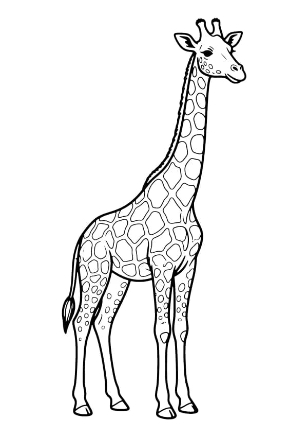 Giraffe coloring pages