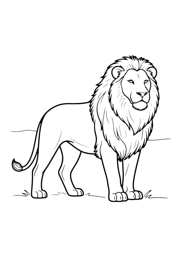 Lion coloring pages