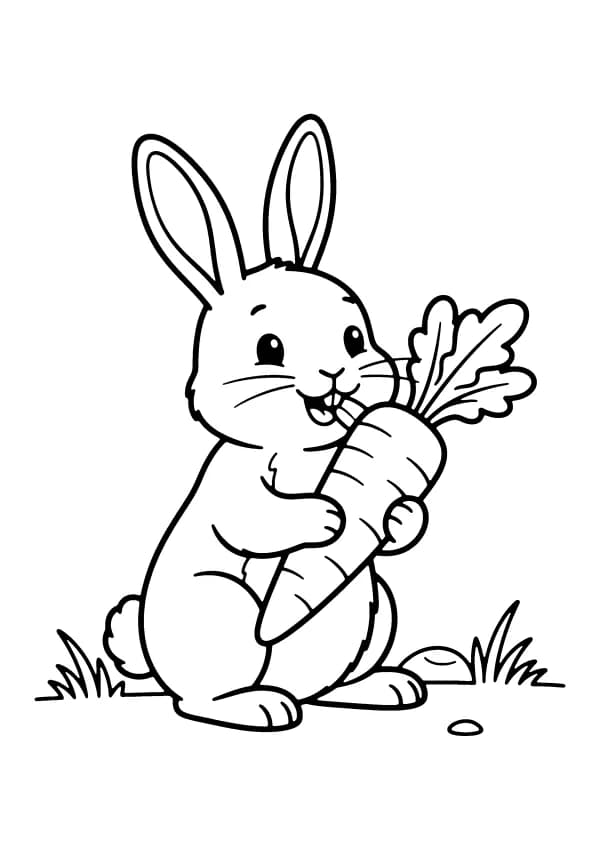 Rabbit coloring pages