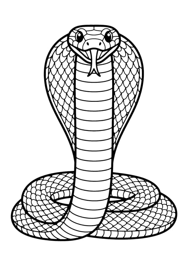 Snake coloring pages