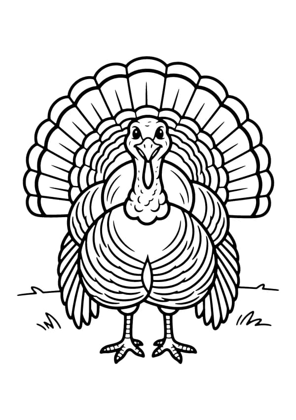 Turkey coloring pages