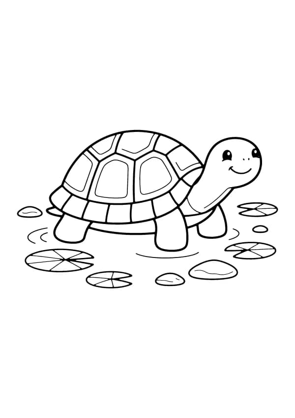 Turtle coloring pages