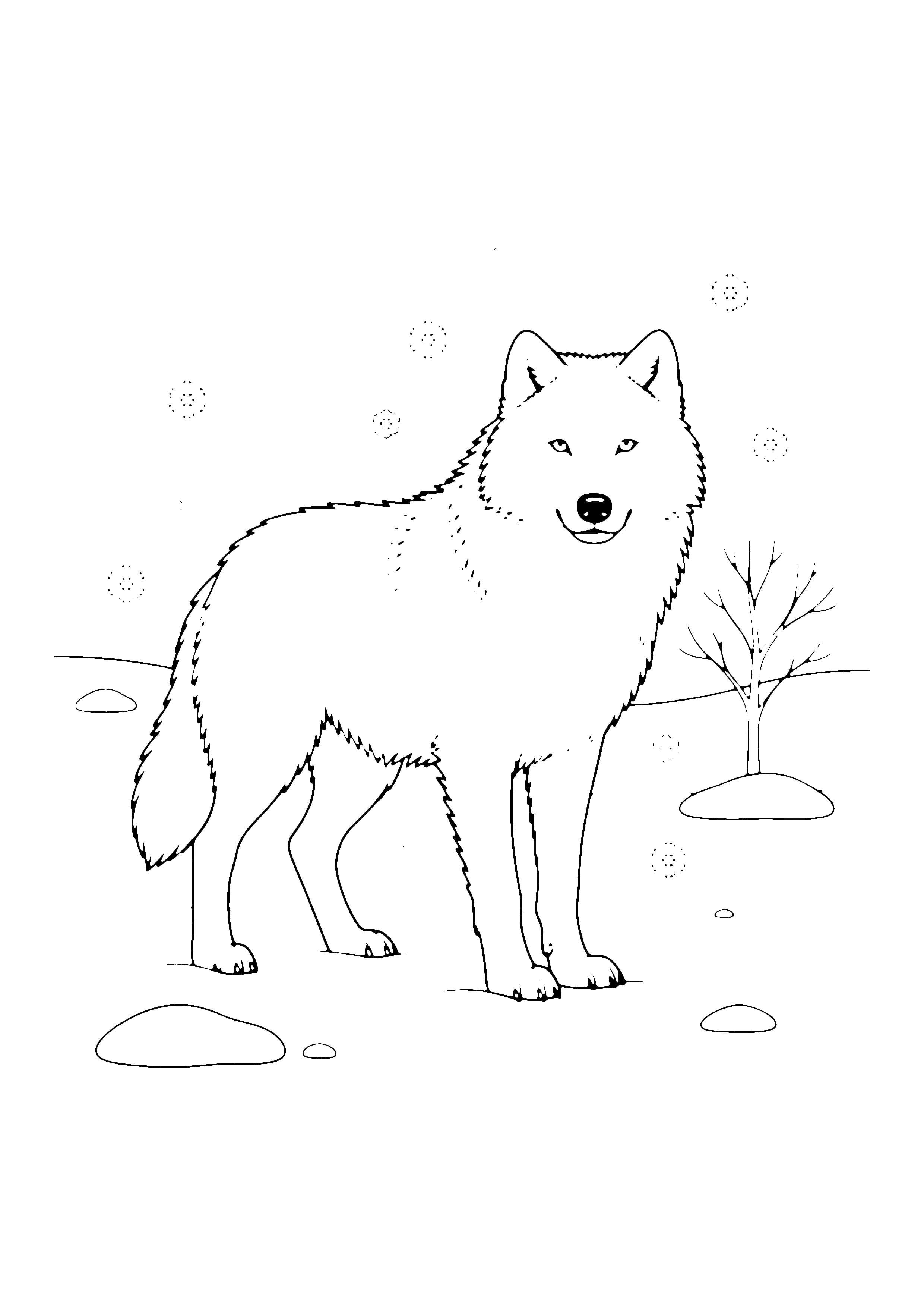 Printable hand-drawn Arctic Wolf in Snow coloring page