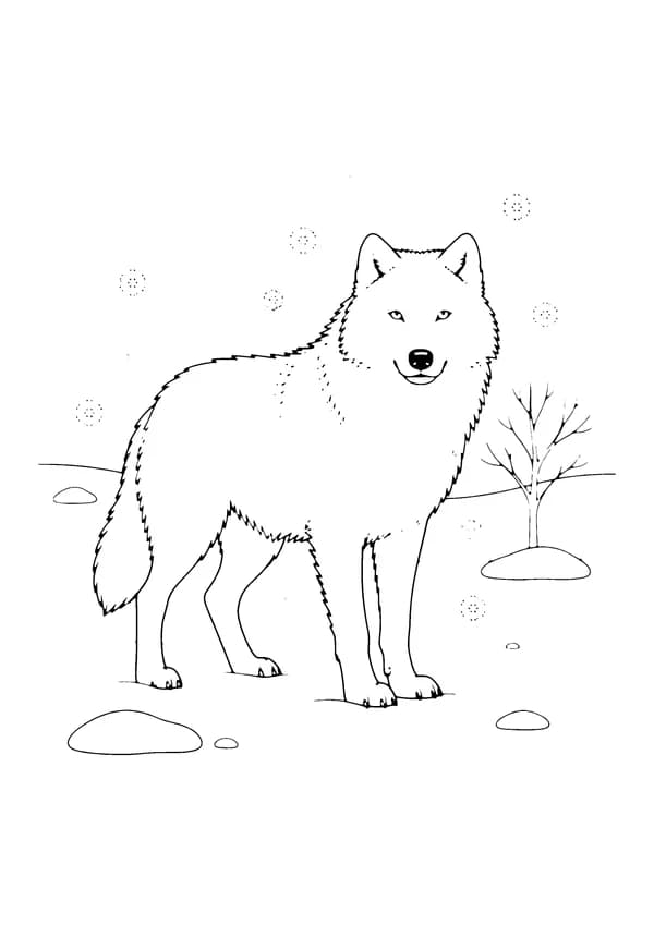 Printable hand-drawn Arctic Wolf in Snow coloring page