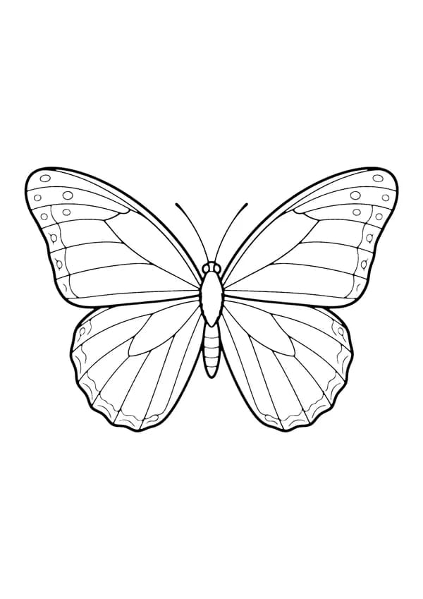 Printable hand-drawn Blue Morpho Butterfly coloring page