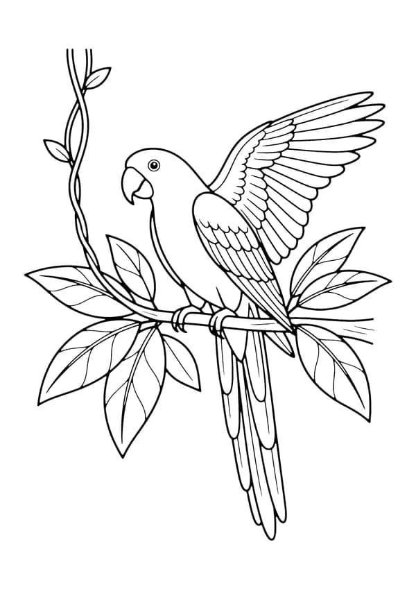 Printable hand-drawn Colorful Parrot coloring page