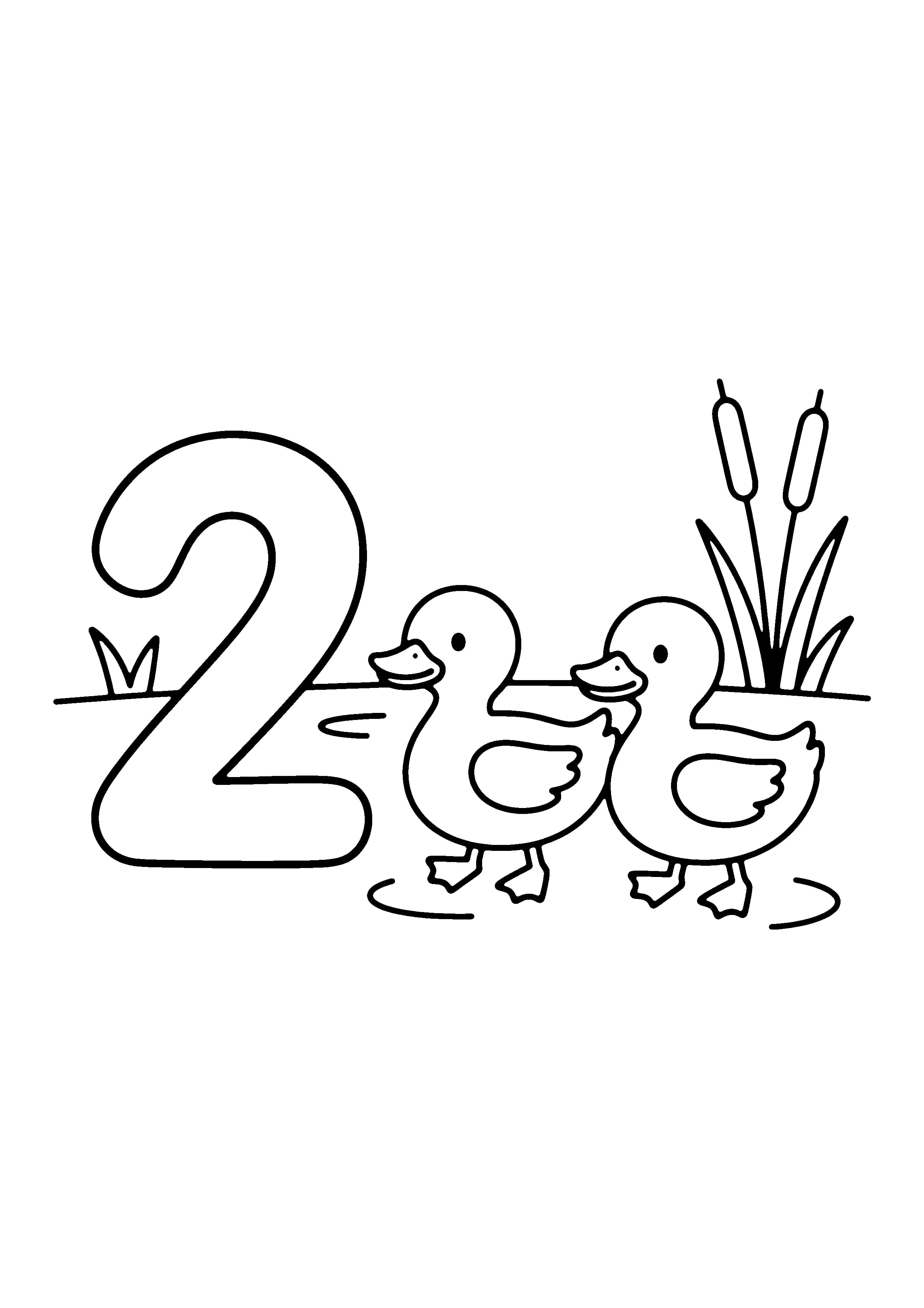 Printable hand-drawn Counting Number Two Ducks coloring page