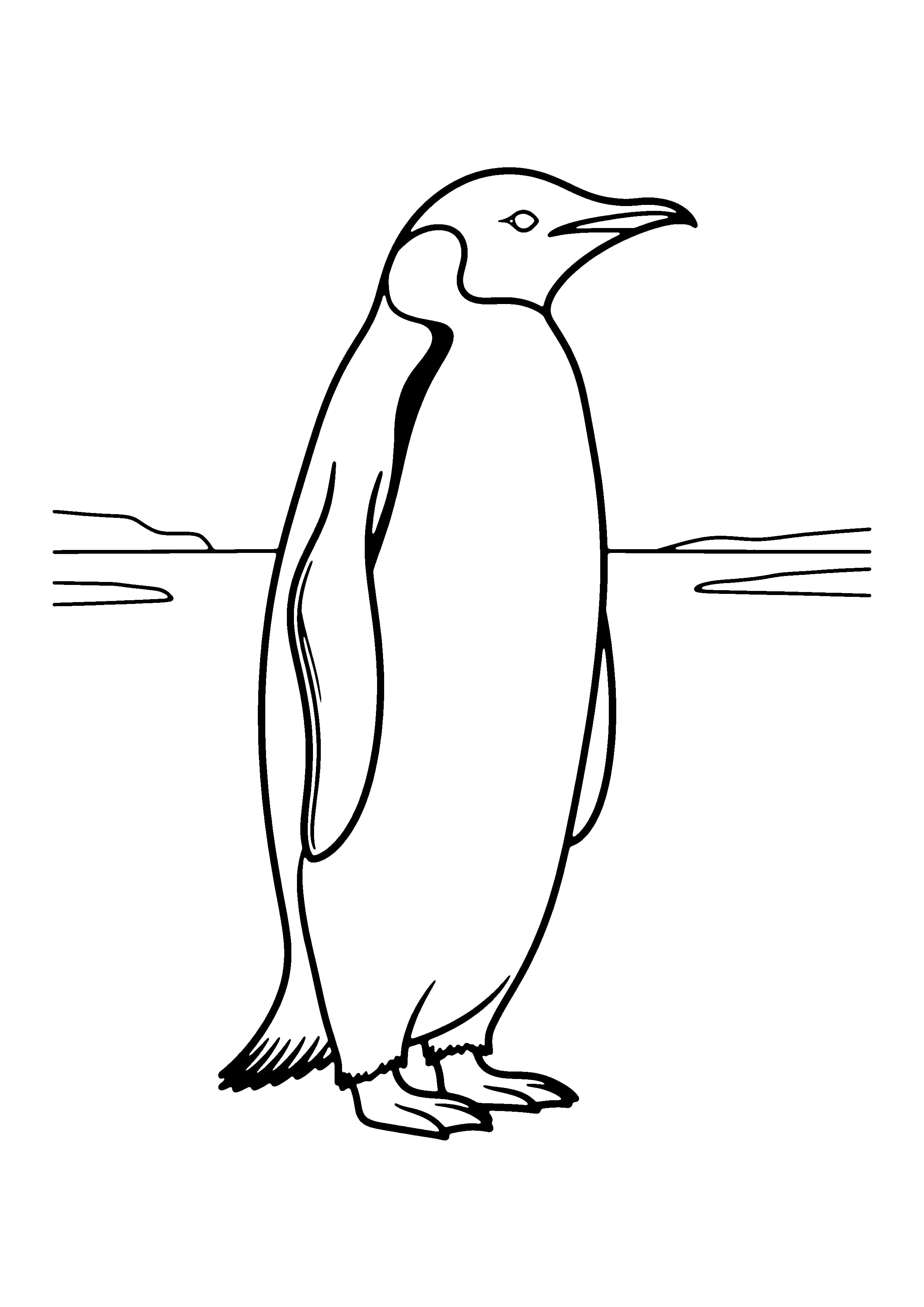 Printable hand-drawn Emperor Penguin coloring page