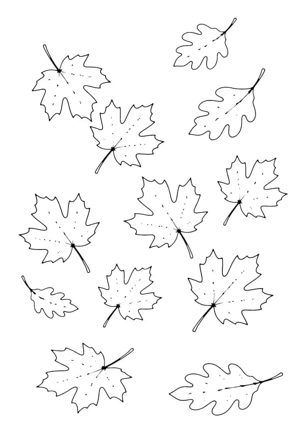 Printable hand-drawn Falling Maple Leaves coloring page