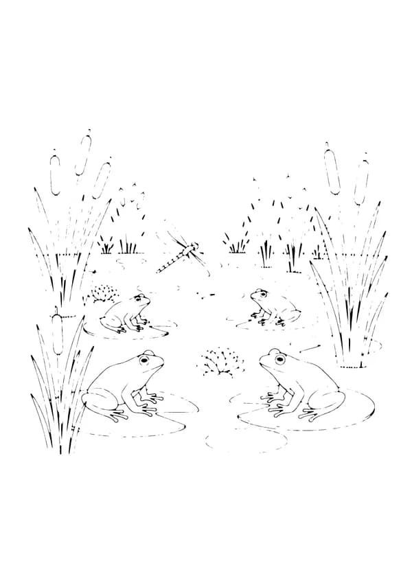 Printable hand-drawn Frogs at the Pond coloring page