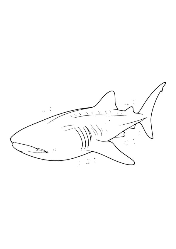 Printable hand-drawn Gentle Whale Shark coloring page