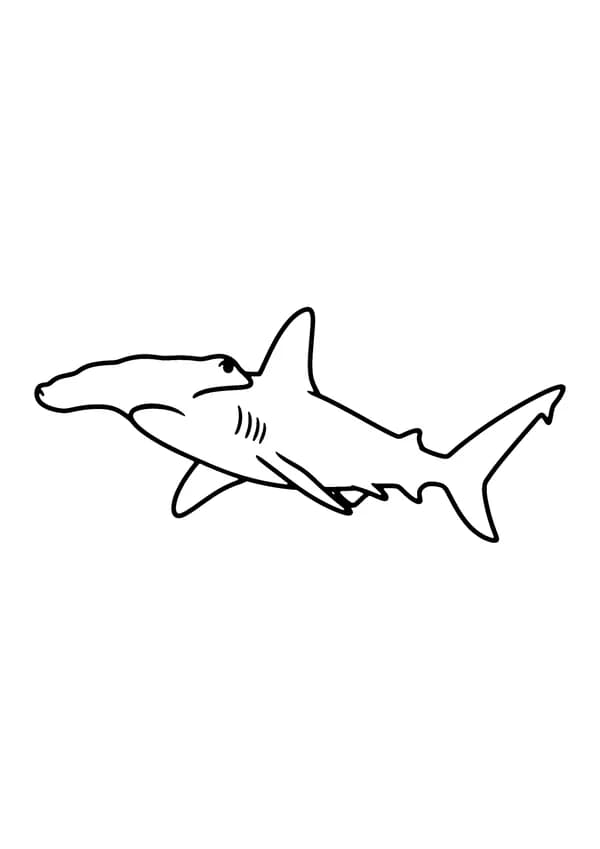 Printable hand-drawn Hammerhead Shark coloring page