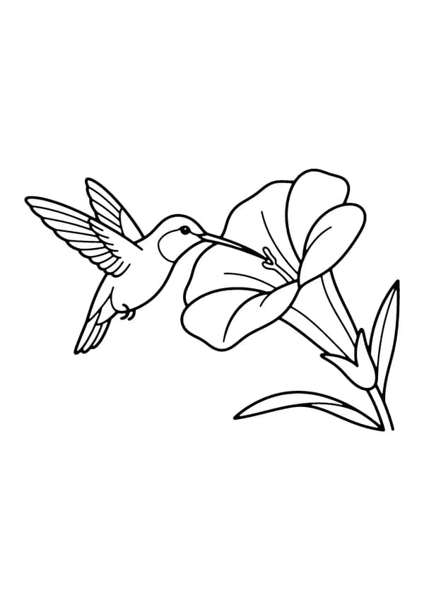 Printable hand-drawn Hummingbird at a Flower coloring page