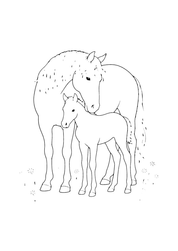 Printable hand-drawn Mare and Foal coloring page
