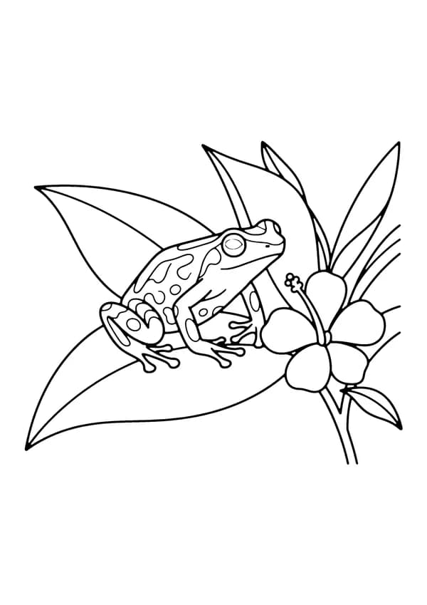 Printable hand-drawn Poison Dart Frog coloring page