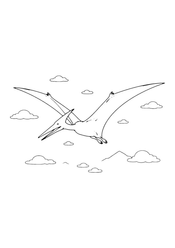 Printable hand-drawn Pteranodon Flying coloring page