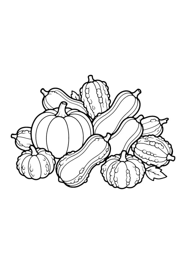 Printable hand-drawn Pumpkin and Friends Gourds coloring page