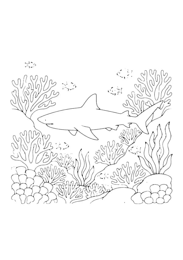 Printable hand-drawn Shark in the Coral Reef coloring page