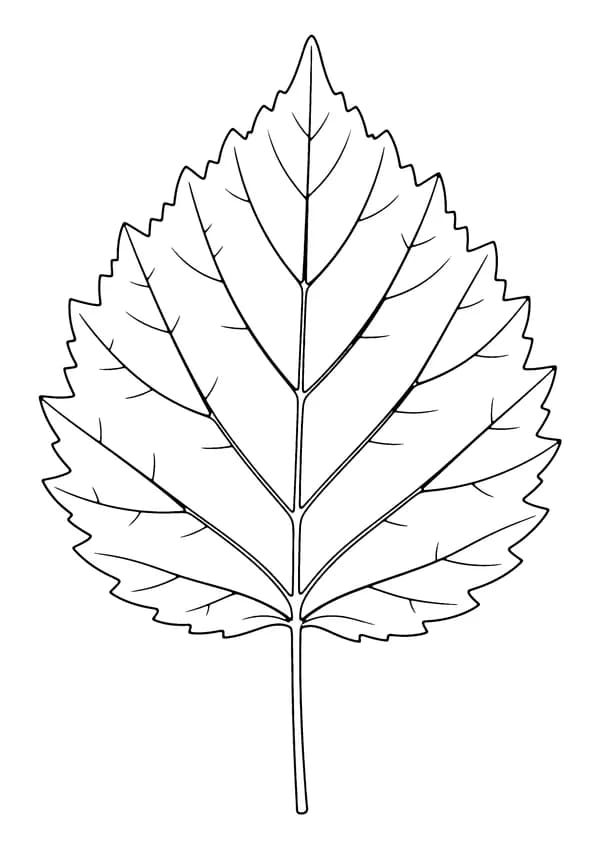 Printable hand-drawn Single Leaf coloring page