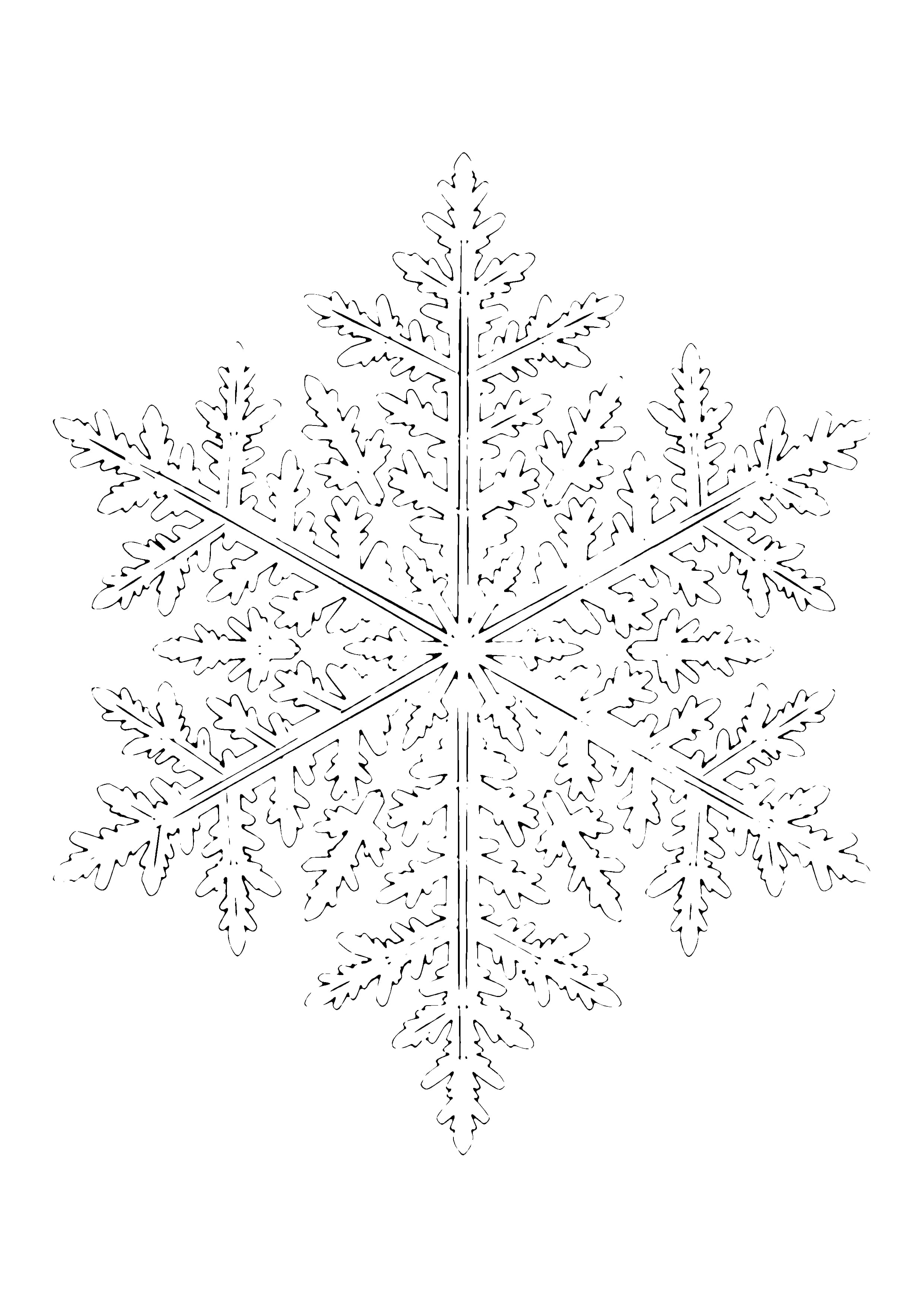Printable hand-drawn Snowflake Close-Up coloring page
