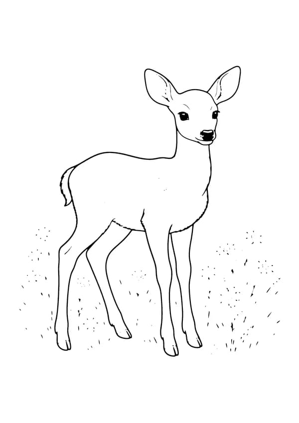 Printable hand-drawn Spotted Fawn coloring page