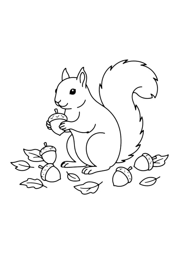 Printable hand-drawn Squirrel Gathering Acorns coloring page