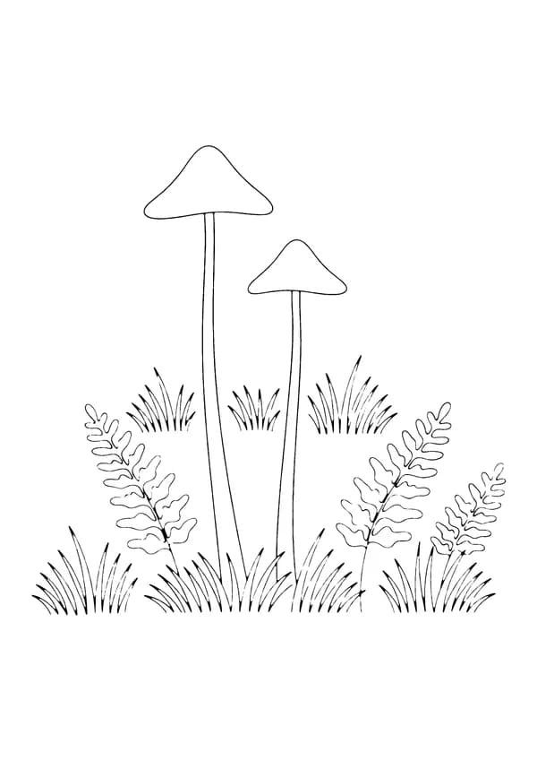 Printable hand-drawn Tall Slender Mushrooms coloring page