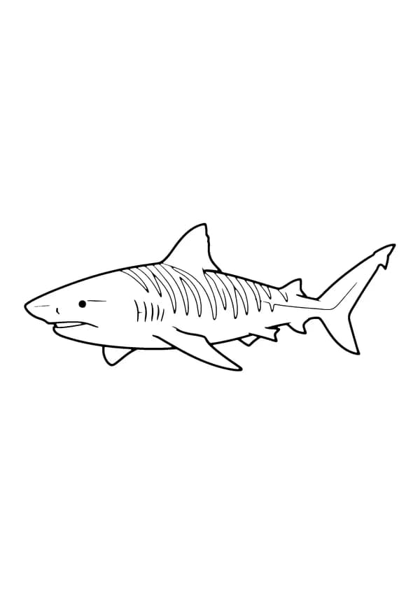 Printable hand-drawn Tiger Shark coloring page