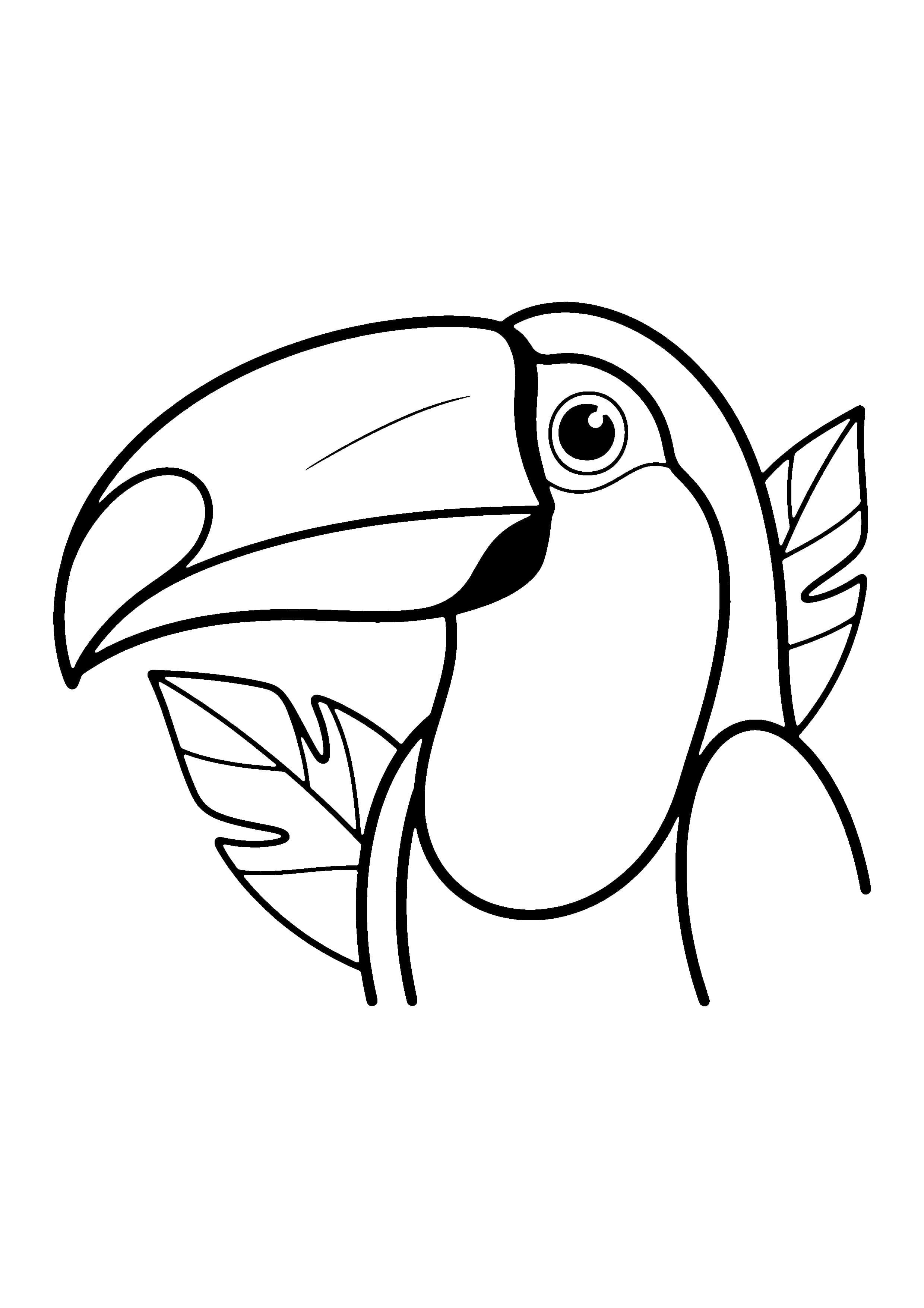 Printable hand-drawn Toucan Close-Up coloring page
