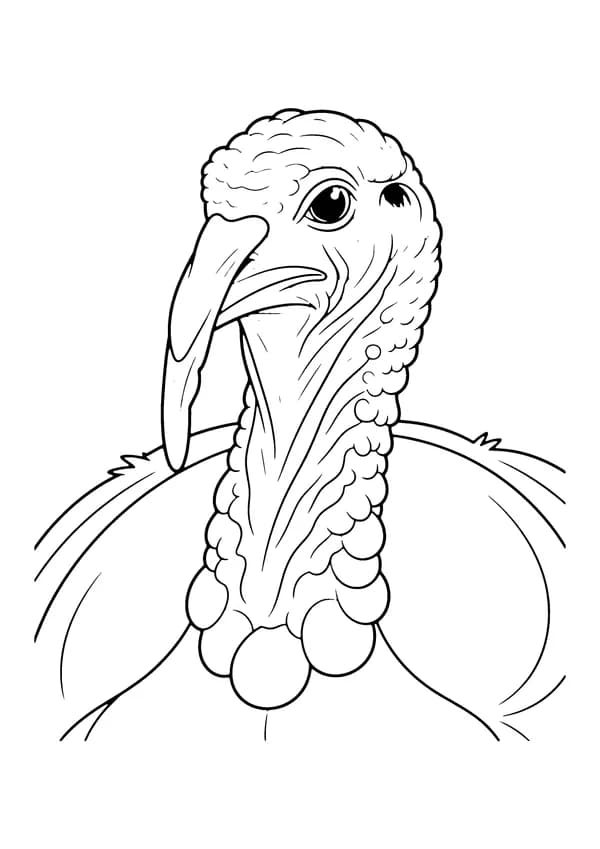 Printable hand-drawn Turkey Close-Up Portrait coloring page