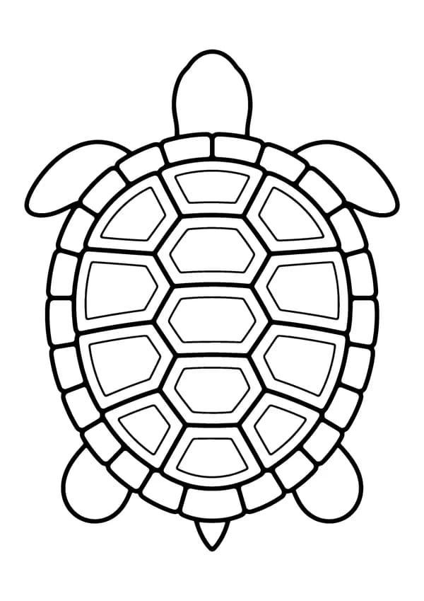 Printable hand-drawn Turtle Shell Close-Up coloring page