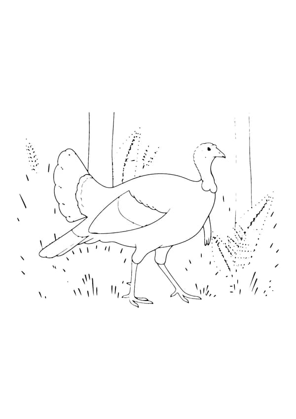 Printable hand-drawn Wild Turkey in the Woods coloring page