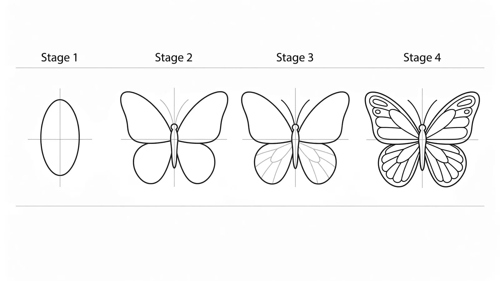 Step-by-step: how to draw a butterfly in four stages