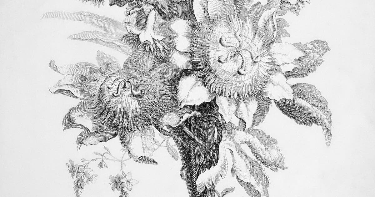Featured image for Easy Flower Drawing Ideas (Step by Step for Beginners)