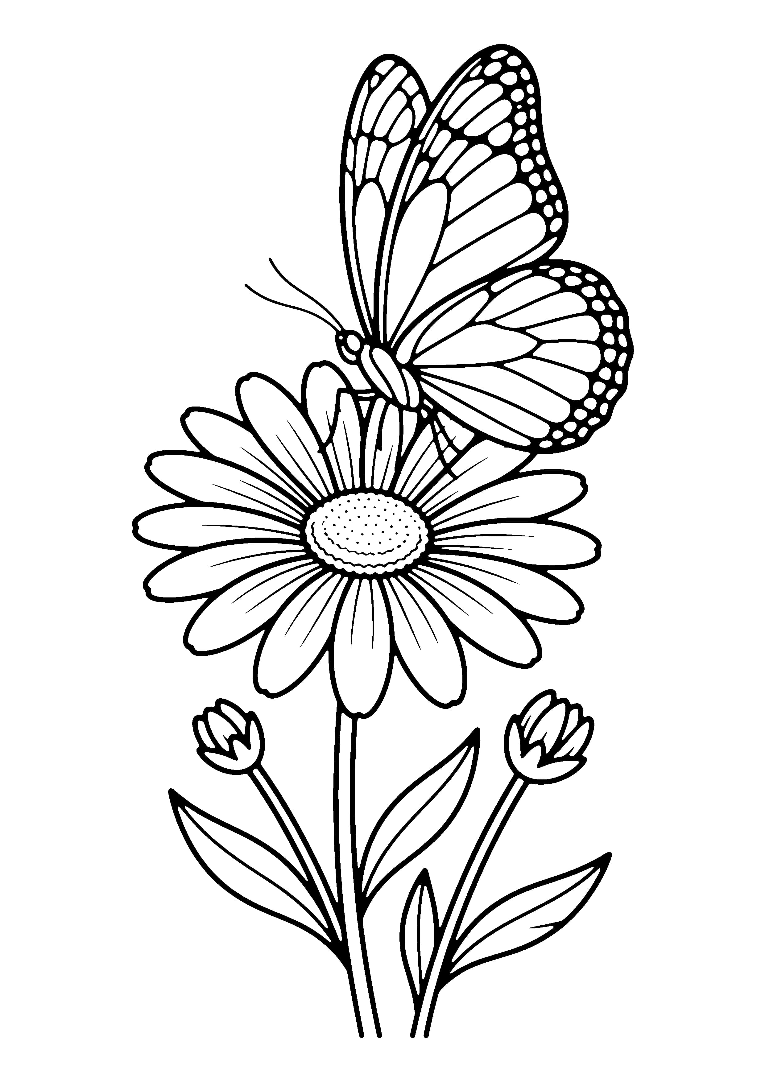 Printable hand-drawn Butterfly on a Flower coloring page
