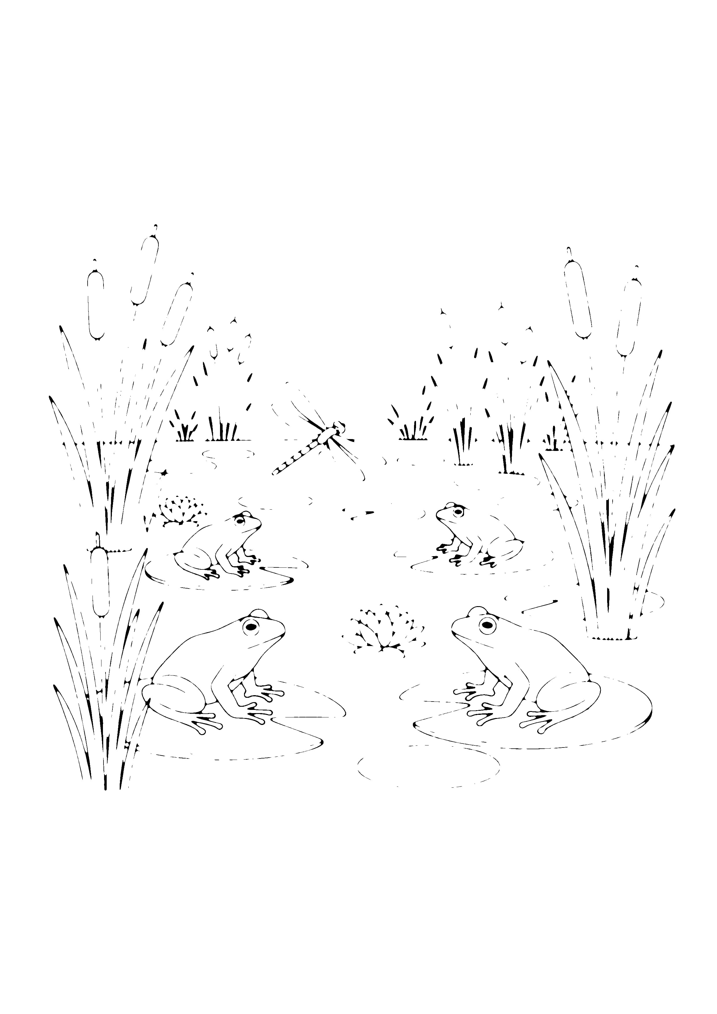 Printable hand-drawn Frogs at the Pond coloring page