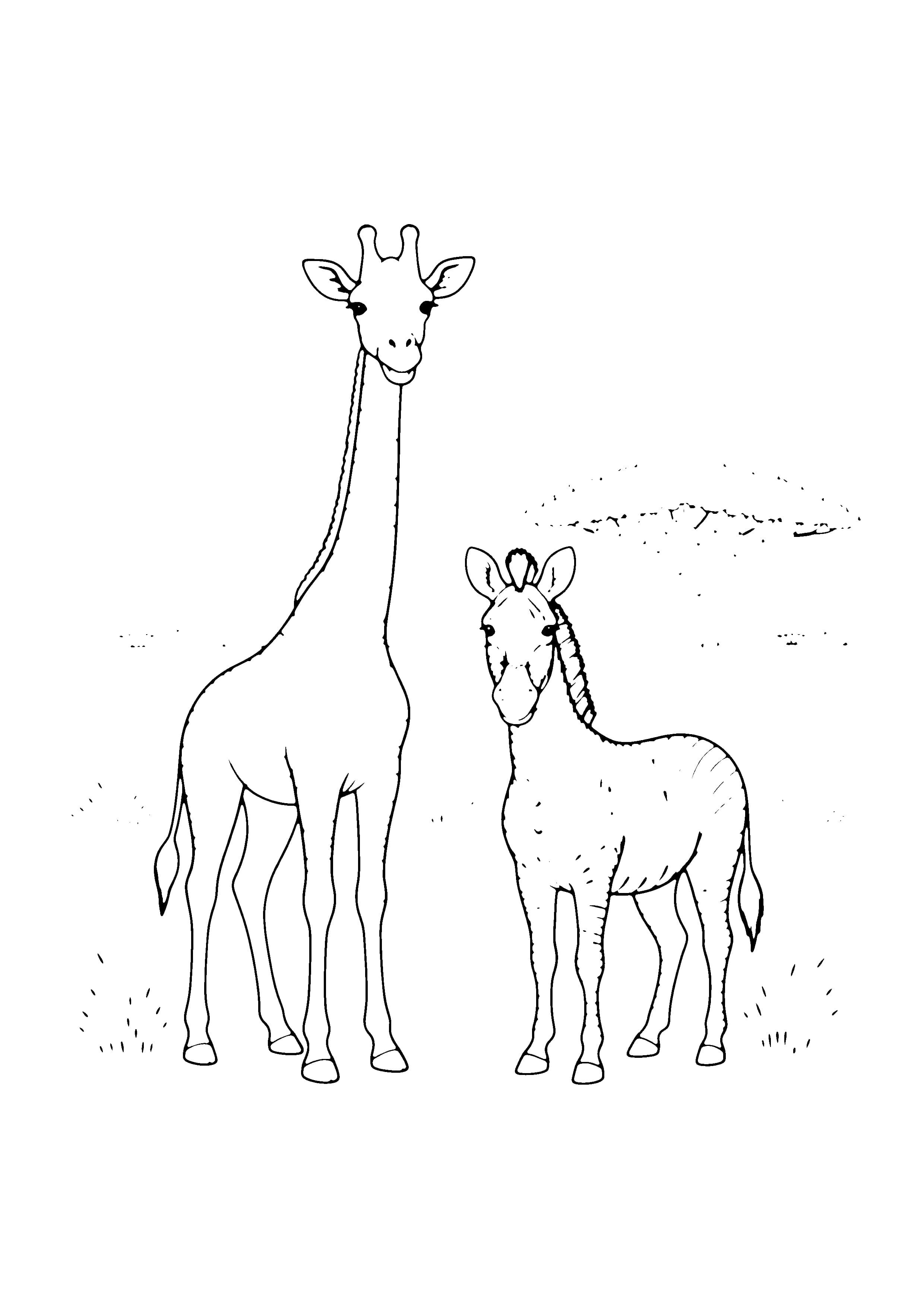 Printable hand-drawn Giraffe and Zebra Friends coloring page