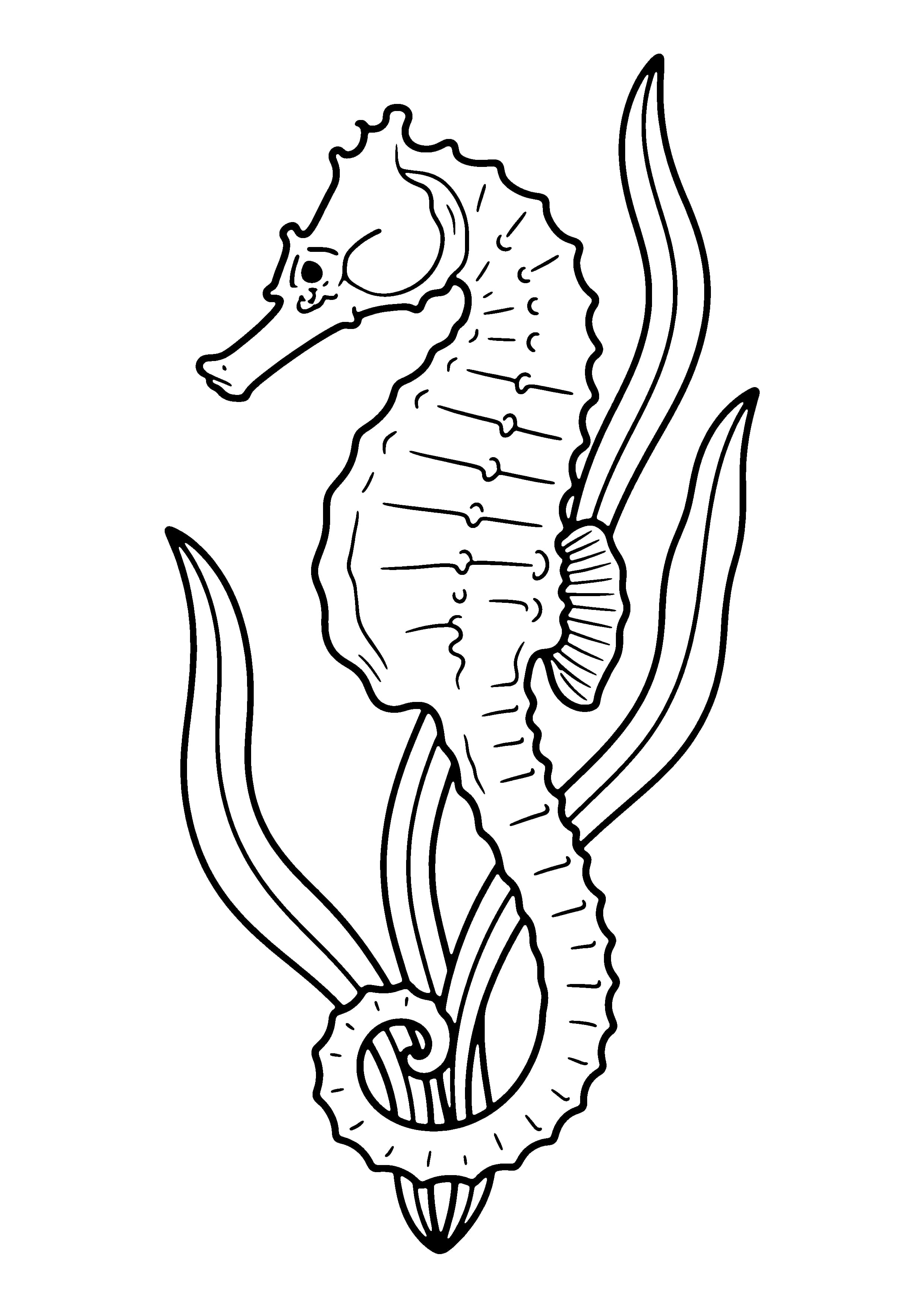Printable hand-drawn Graceful Seahorse coloring page