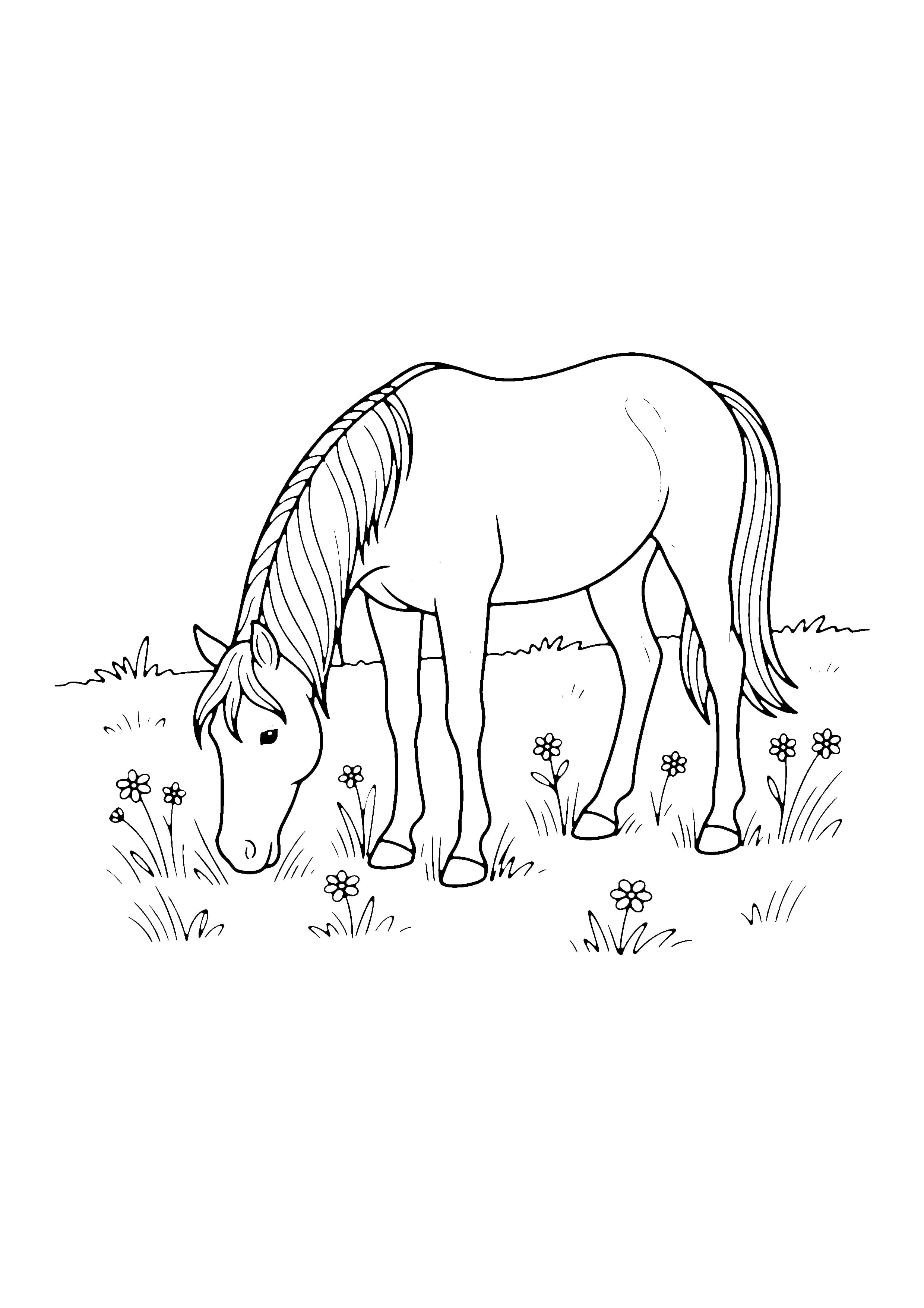Printable hand-drawn Grazing Mare coloring page