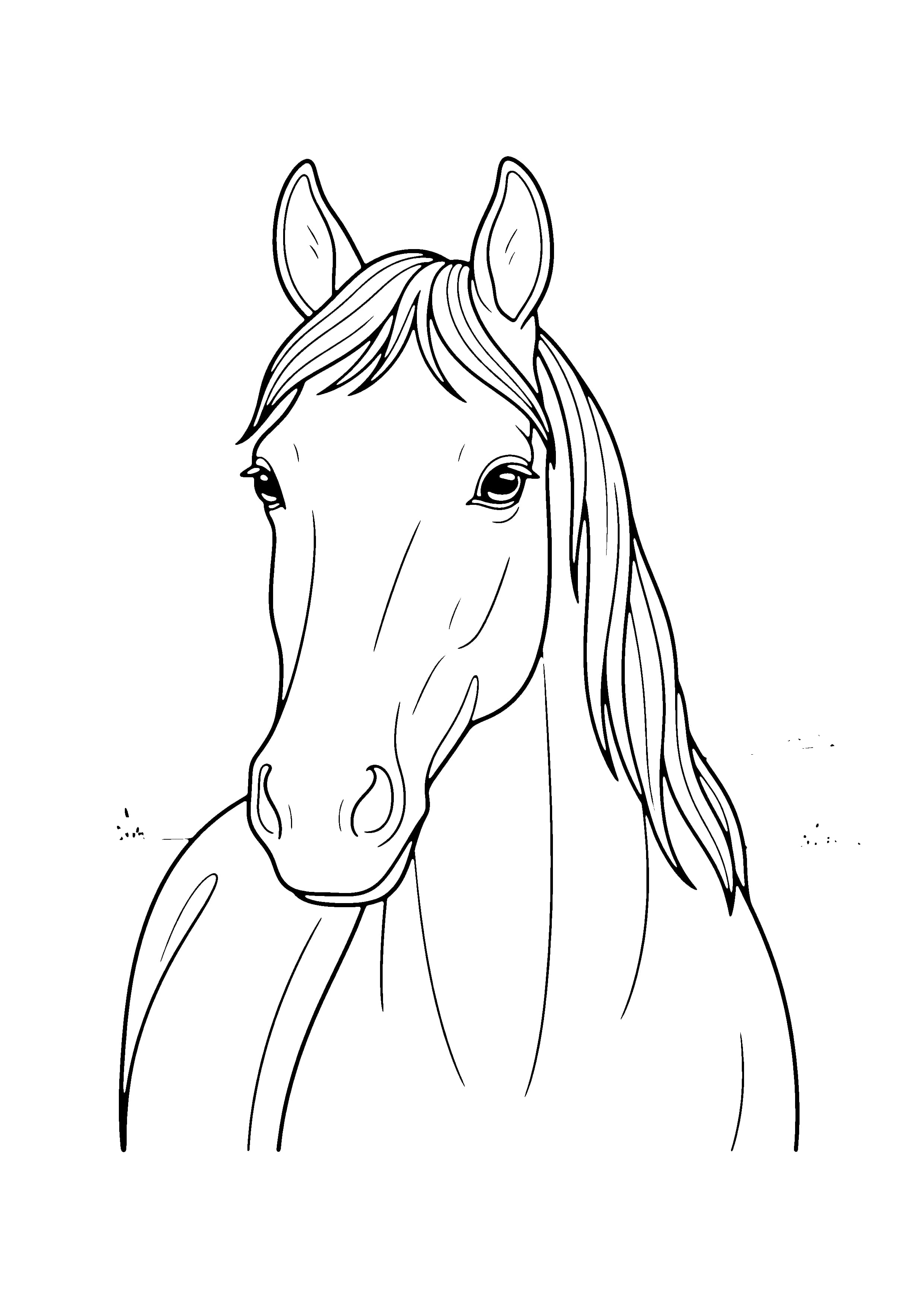 Printable hand-drawn Horse Portrait Close-Up coloring page