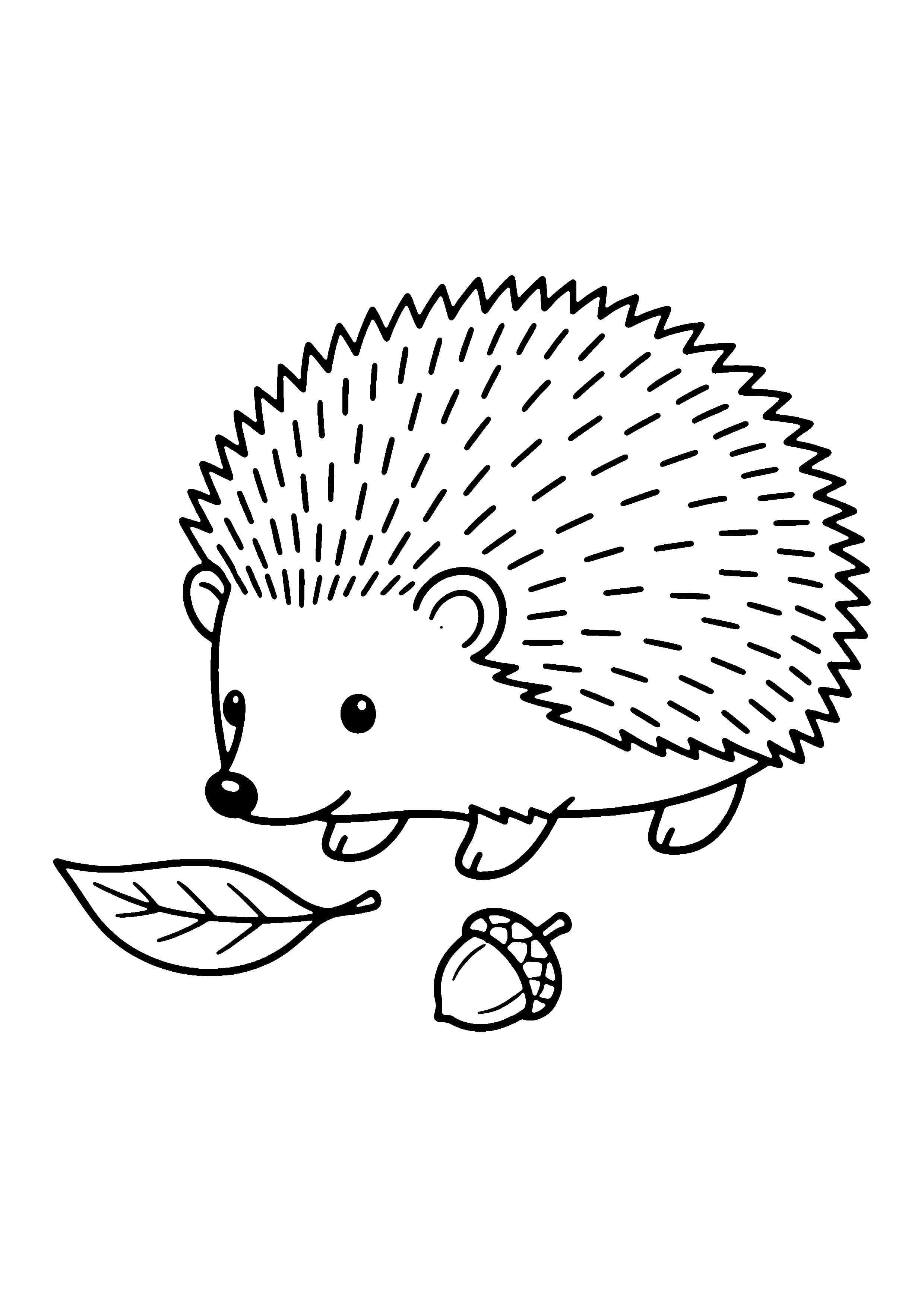 Printable hand-drawn Little Hedgehog coloring page