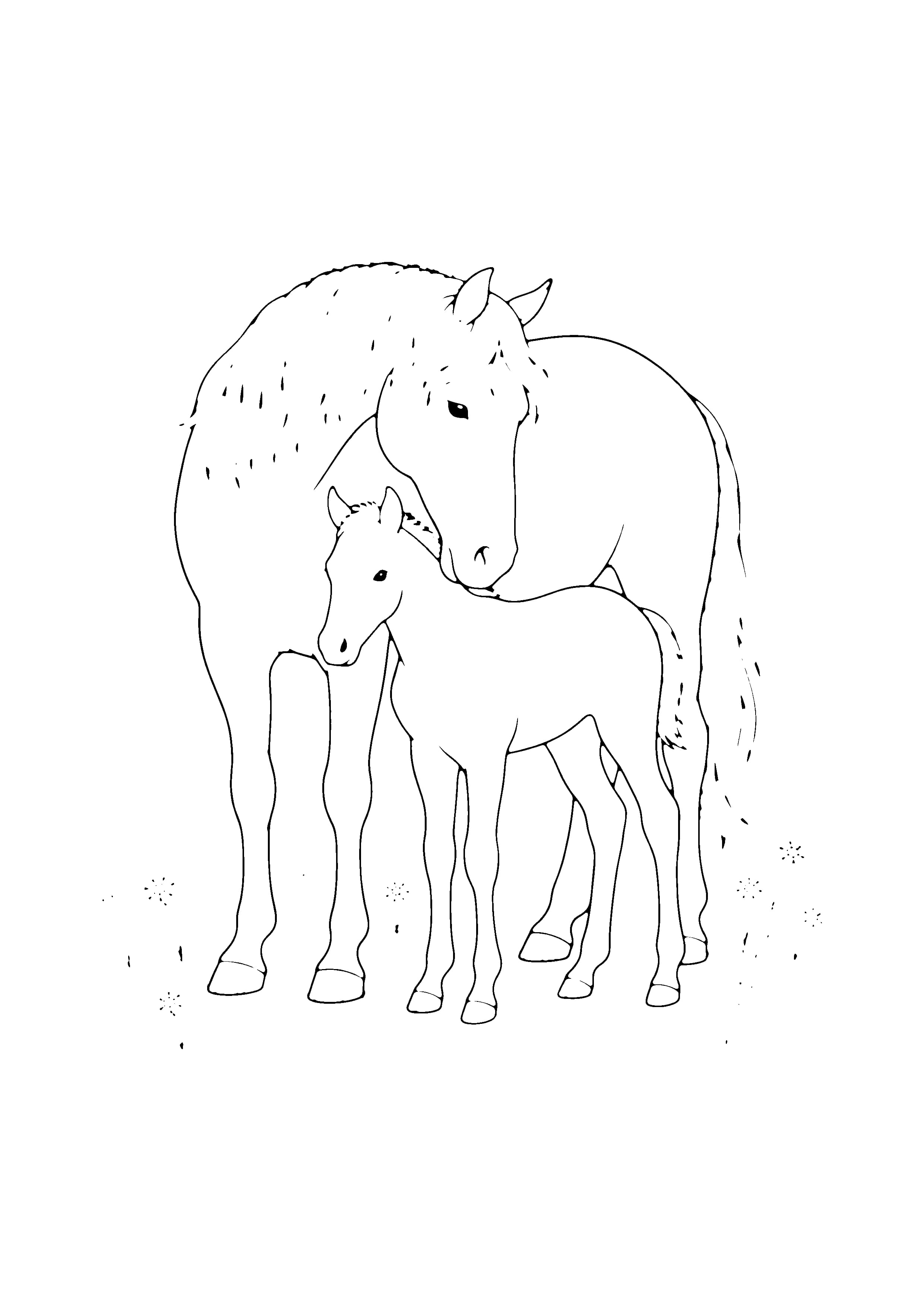 Printable hand-drawn Mare and Foal coloring page