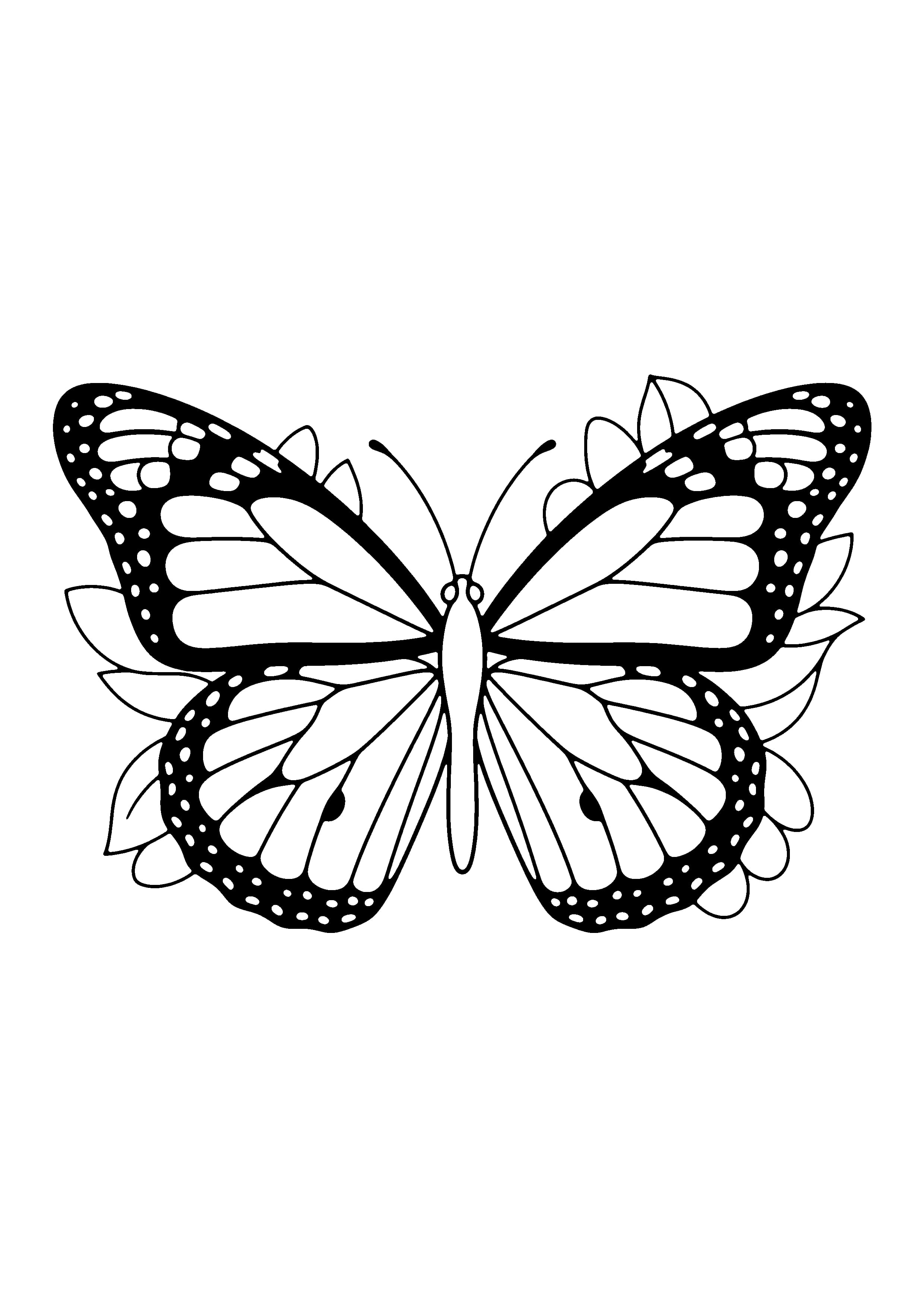 Printable hand-drawn Monarch Butterfly coloring page