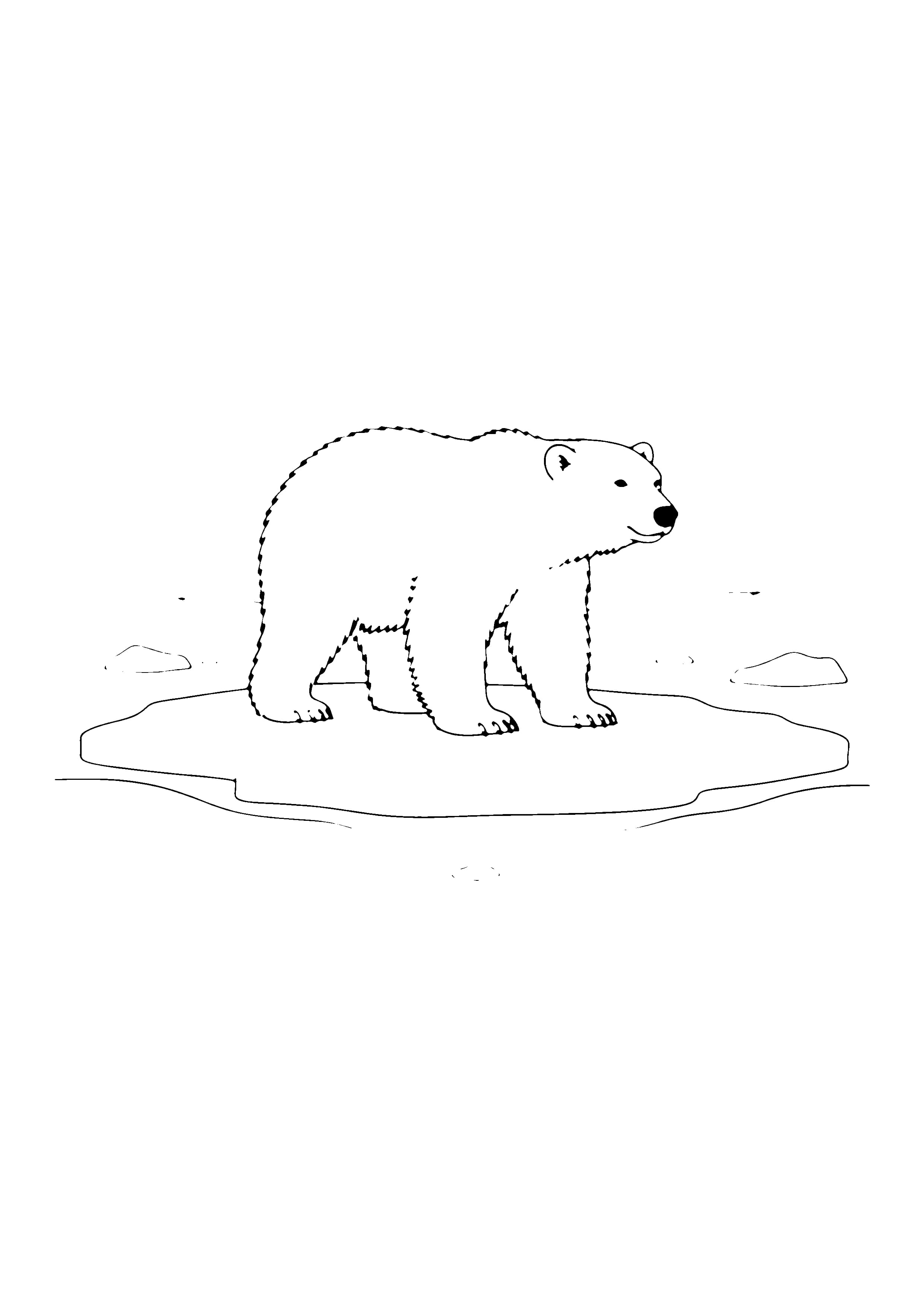 Printable hand-drawn Polar Bear on the Ice coloring page