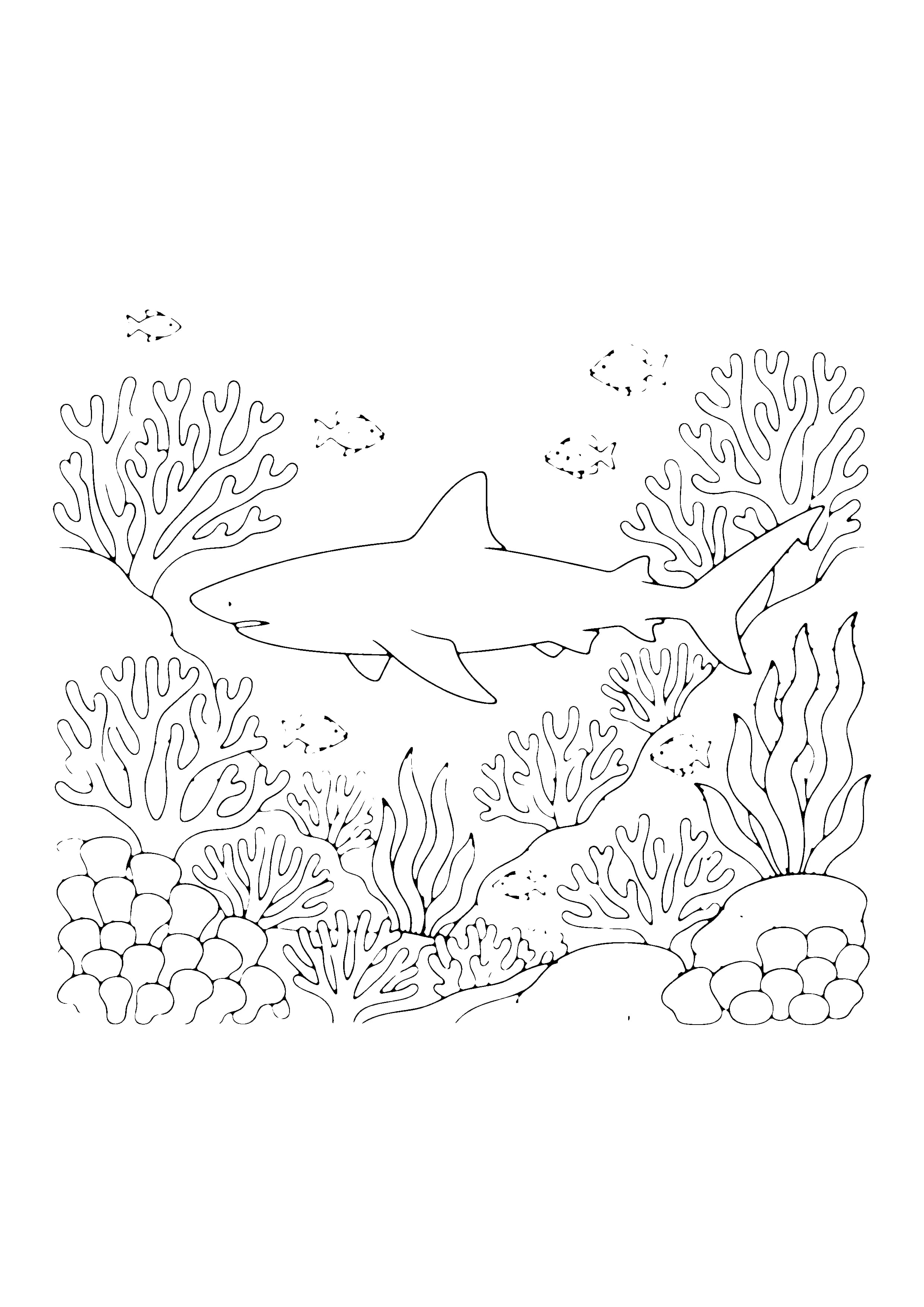 Printable hand-drawn Shark in the Coral Reef coloring page