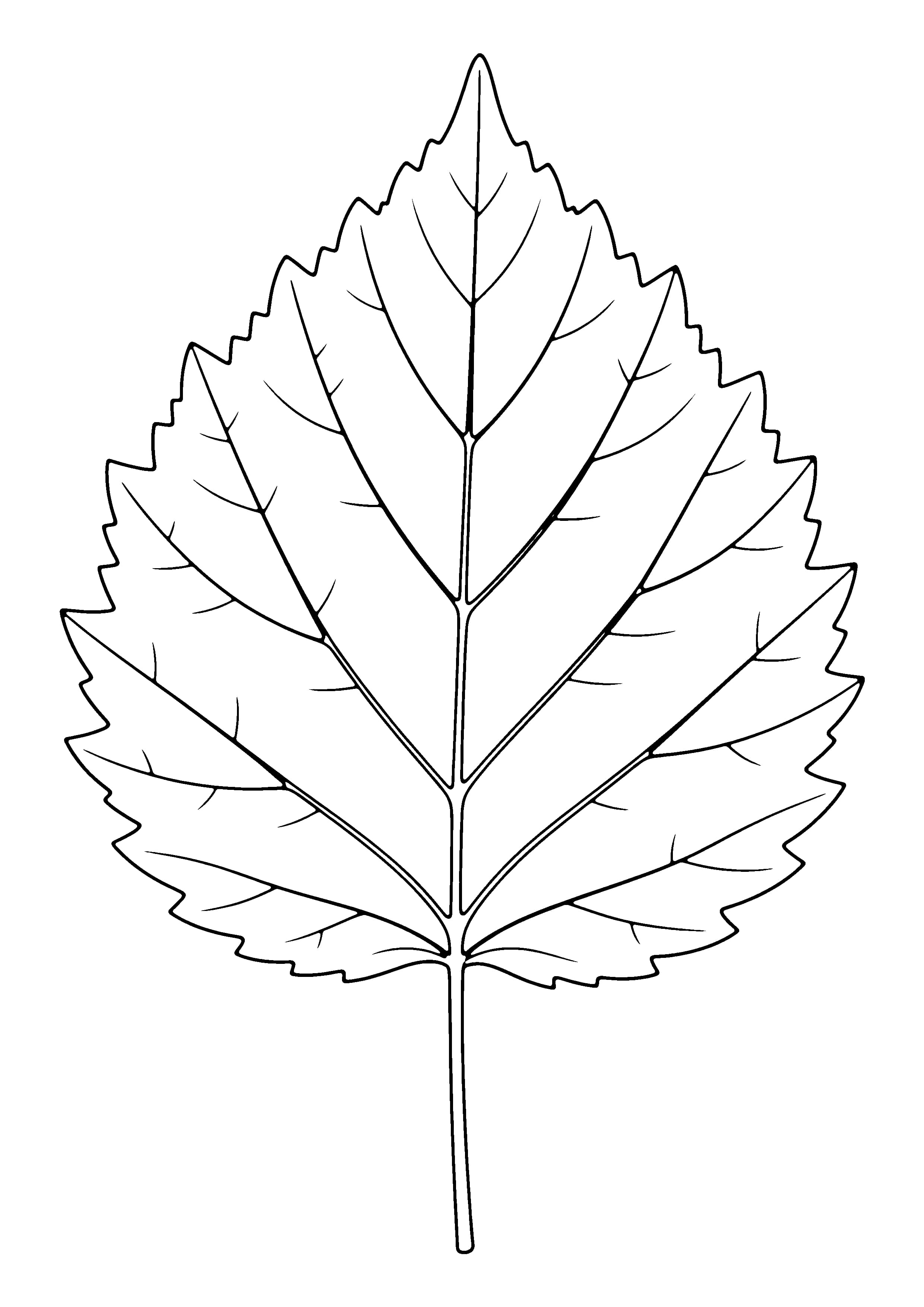 Printable hand-drawn Single Leaf coloring page